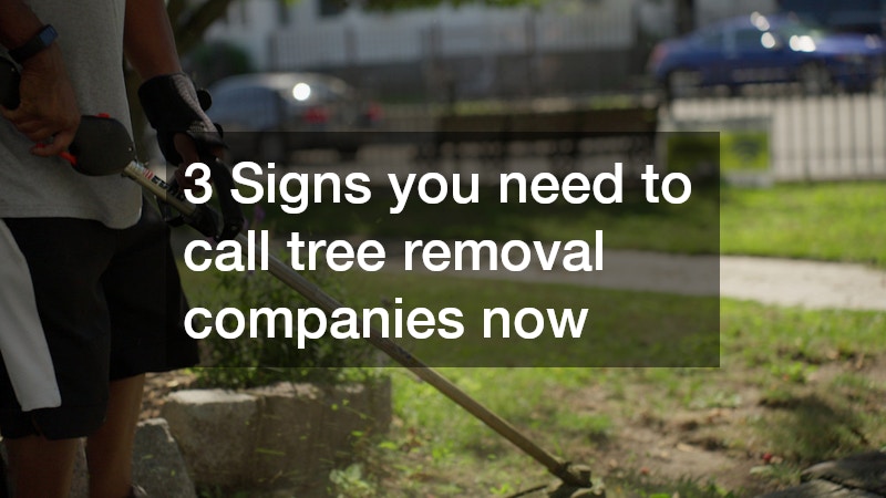 3 Signs you need to call tree removal companies now