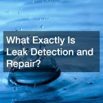 What Exactly Is Leak Detection and Repair?