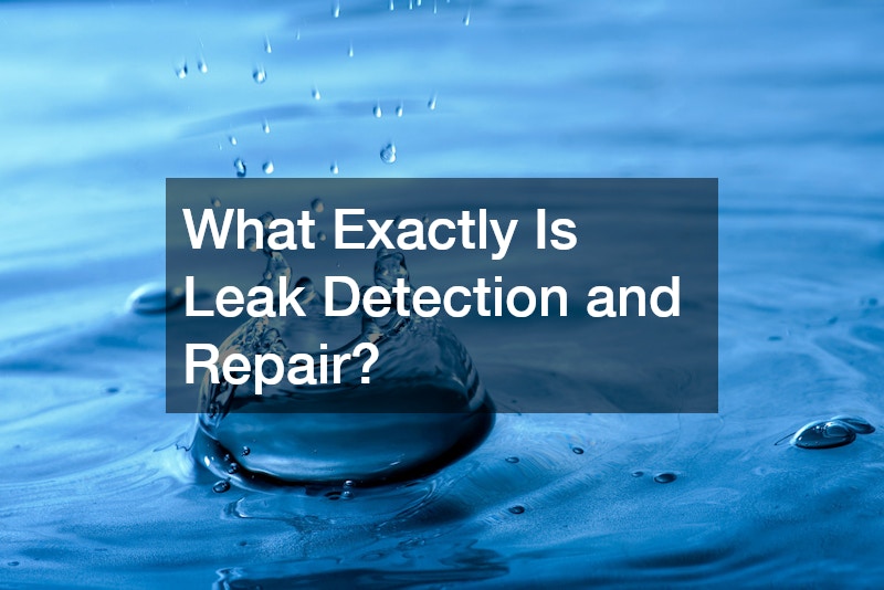 What Exactly Is Leak Detection and Repair?