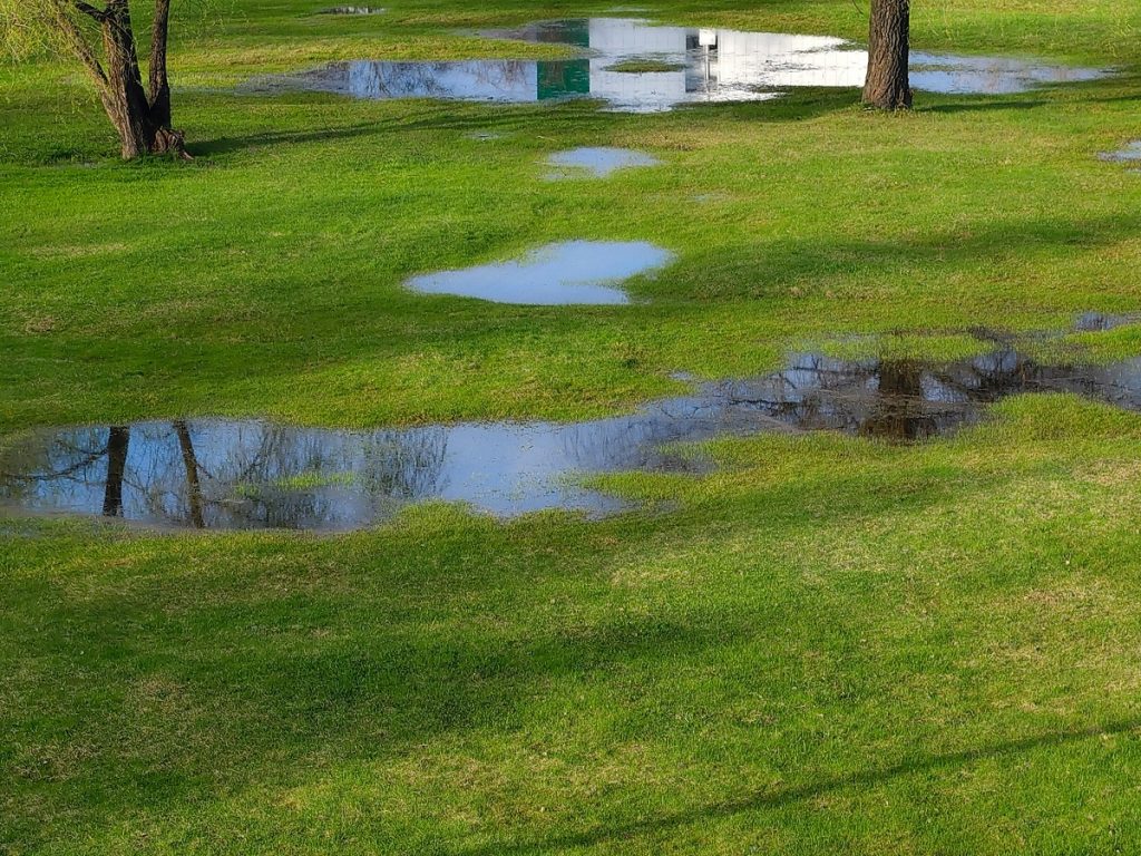 low spots in a backyard