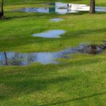 low spots in a backyard